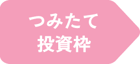 つみたて投資枠