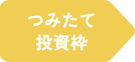 つみたて投資枠