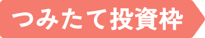 つみたて投資枠