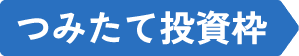 つみたて投資枠
