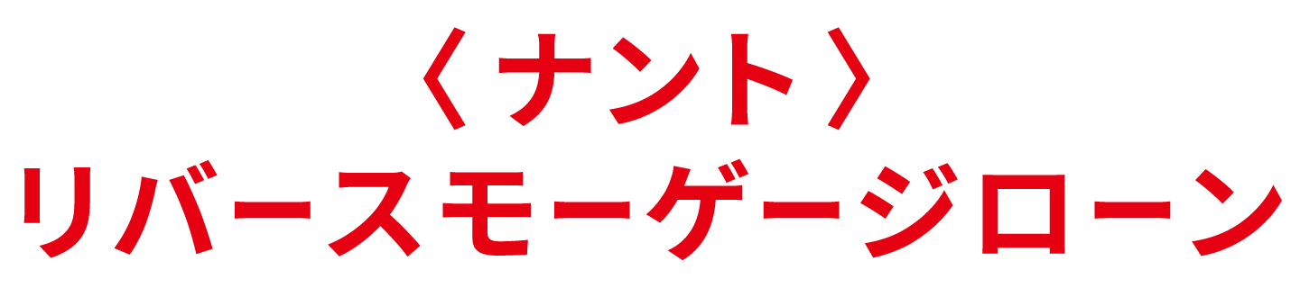 ＜ナント＞リバースモーゲージローン