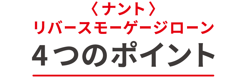 ＜ナント＞リバースモーゲージローン 4つのポイント