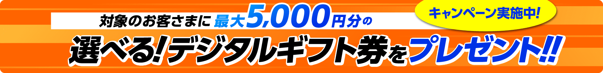 キャンペーン実施中!対象のお客さまに最大5,000円分の選べる!デジタルギフト券をプレゼント!!