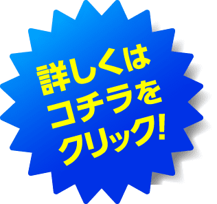 詳しくはコチラをクリック!