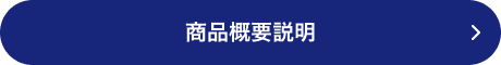 商品概要説明