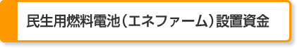 4. 民生用燃料電池（エネファーム）設置資金